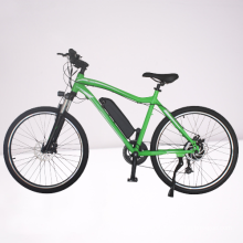 Dynavolt 7 speed color customized mountain ebike